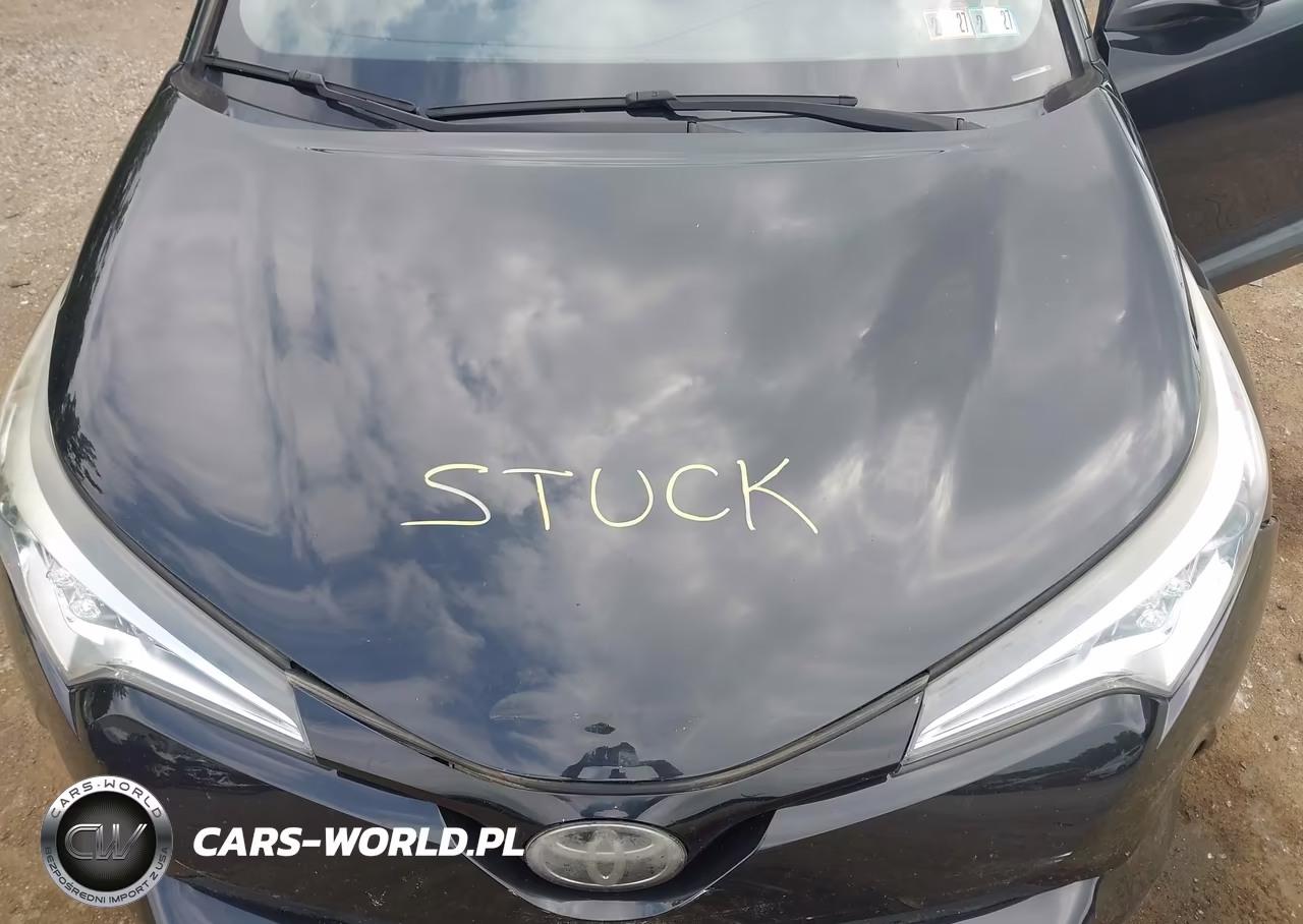 2018 Toyota C-Hr Xle Premium VIN:NMTKHMBXXJR025908 - 10