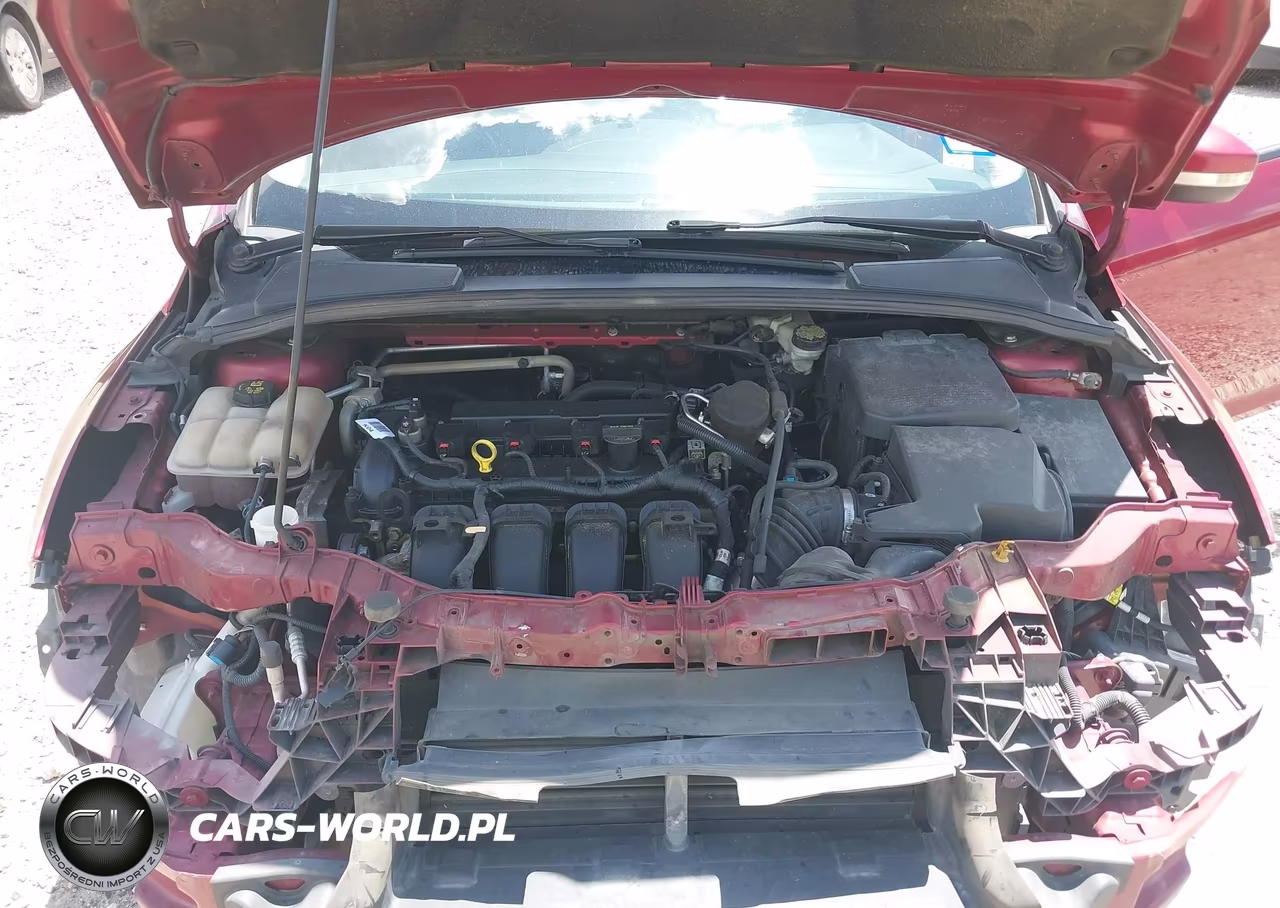 2014 Ford Focus Se VIN:1FADP3K23EL305386 - 11