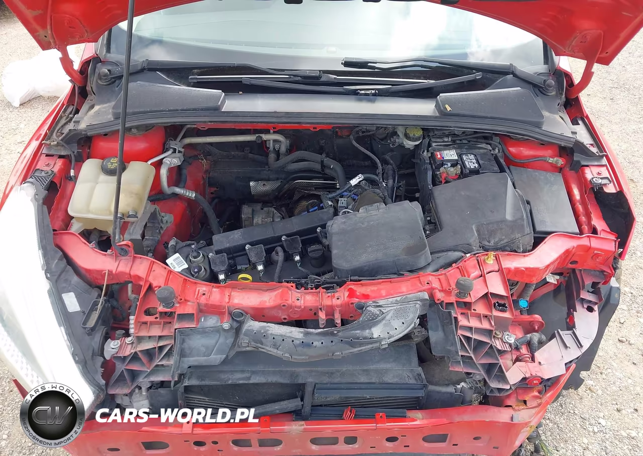 2015 Ford Focus Se VIN:1FADP3F25FL248054 - 10