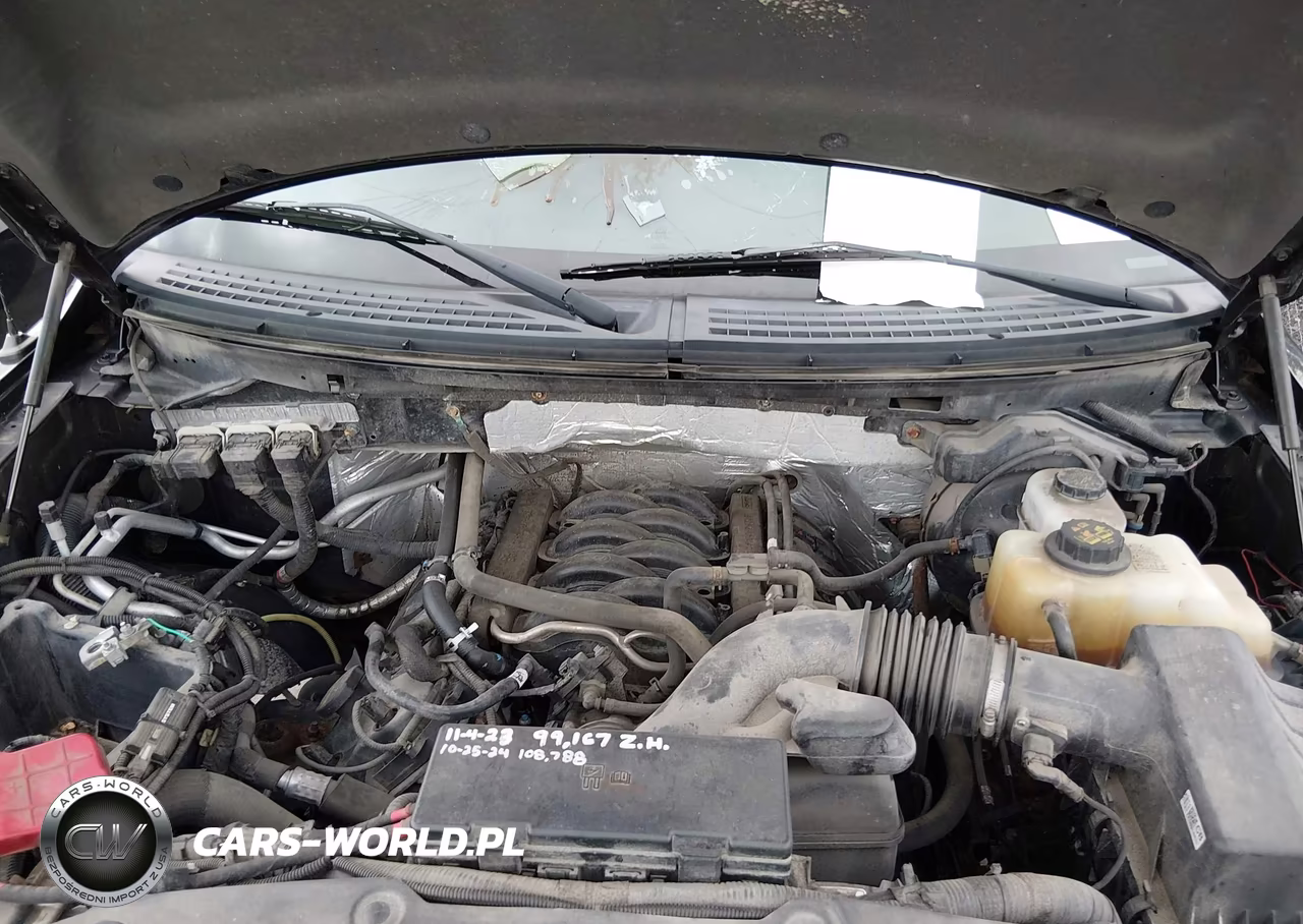 2013 Ford F-150 Stx VIN:1FTFX1EF9DFD31994 - 10