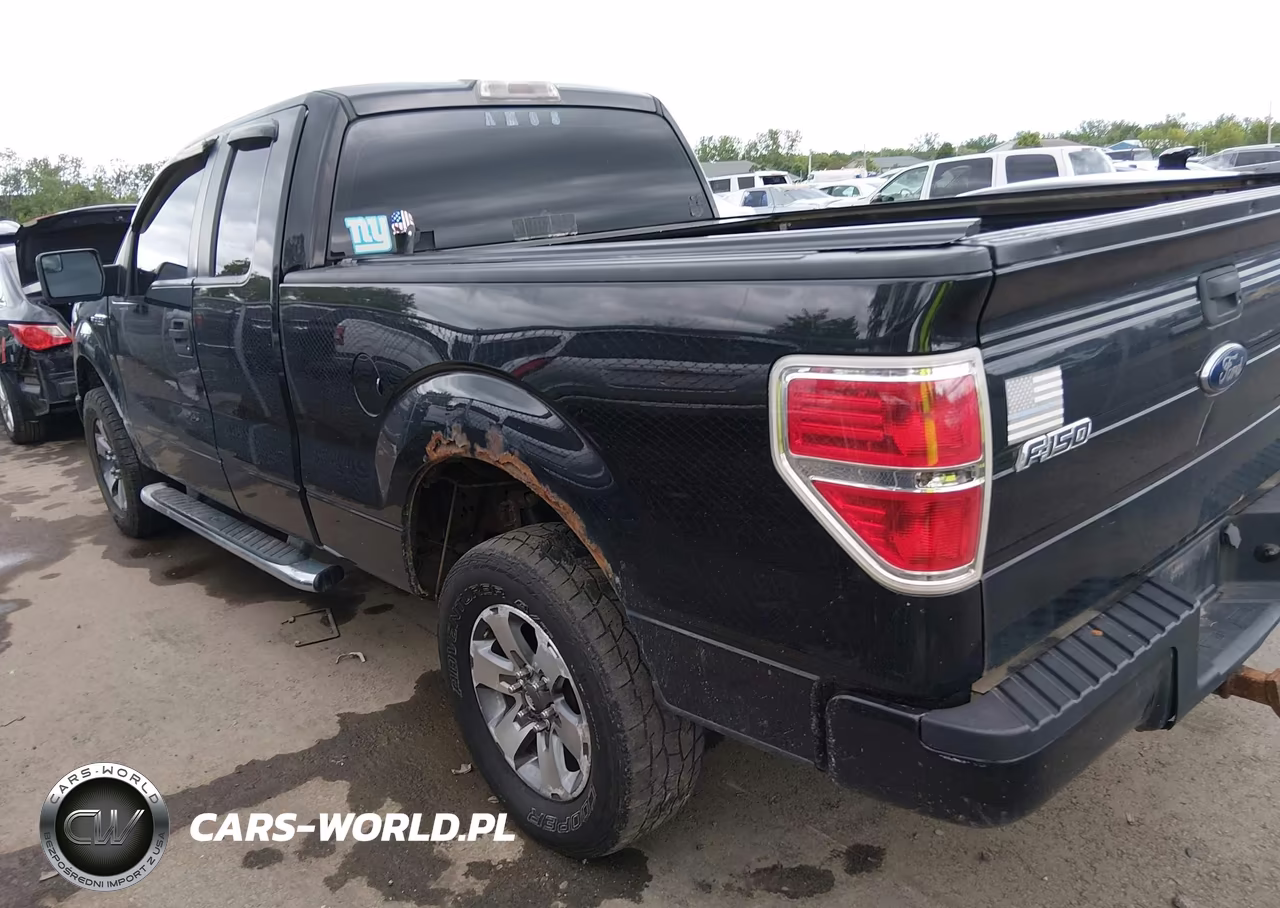 2013 Ford F-150 Stx VIN:1FTFX1EF9DFD31994 - 3