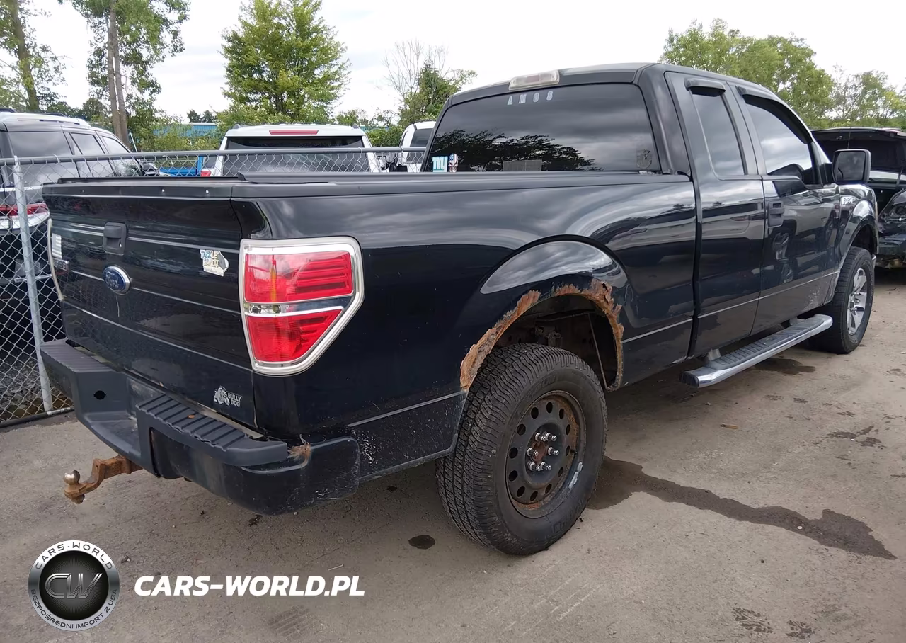 2013 Ford F-150 Stx VIN:1FTFX1EF9DFD31994 - 4