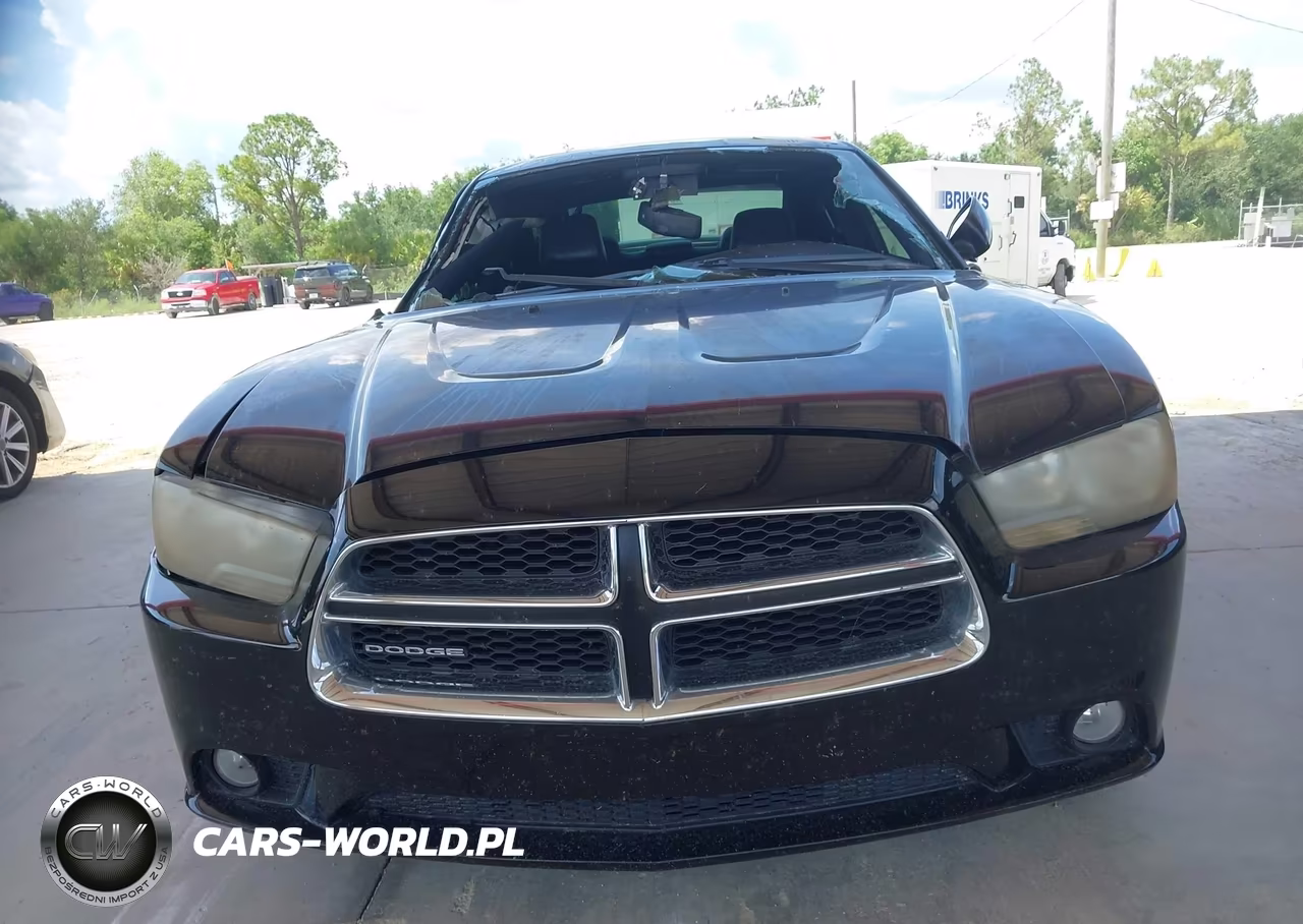 2012 Dodge Charger Sxt VIN:2C3CDXHG1CH141935 - 12