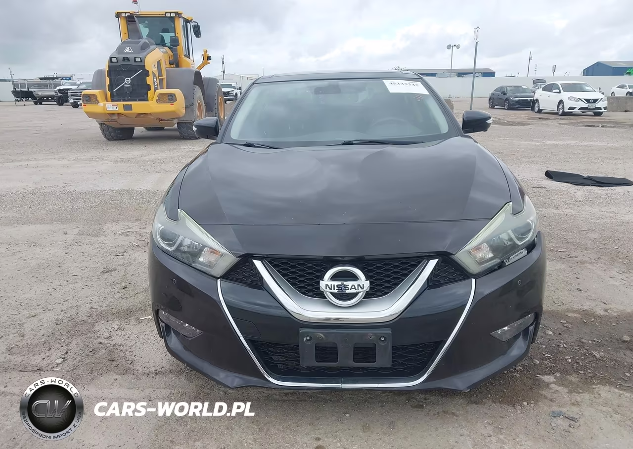 2016 Nissan Maxima 3.5 Platinum VIN:1N4AA6AP7GC394675 - 12
