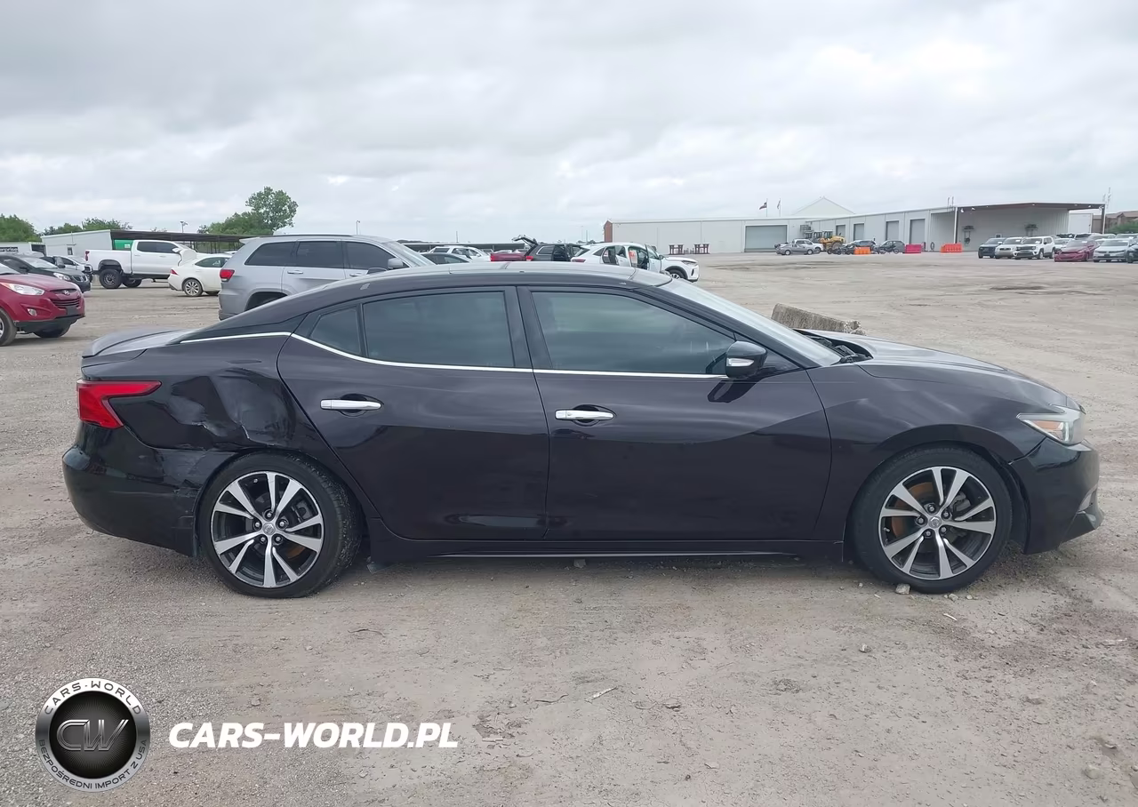 2016 Nissan Maxima 3.5 Platinum VIN:1N4AA6AP7GC394675 - 13