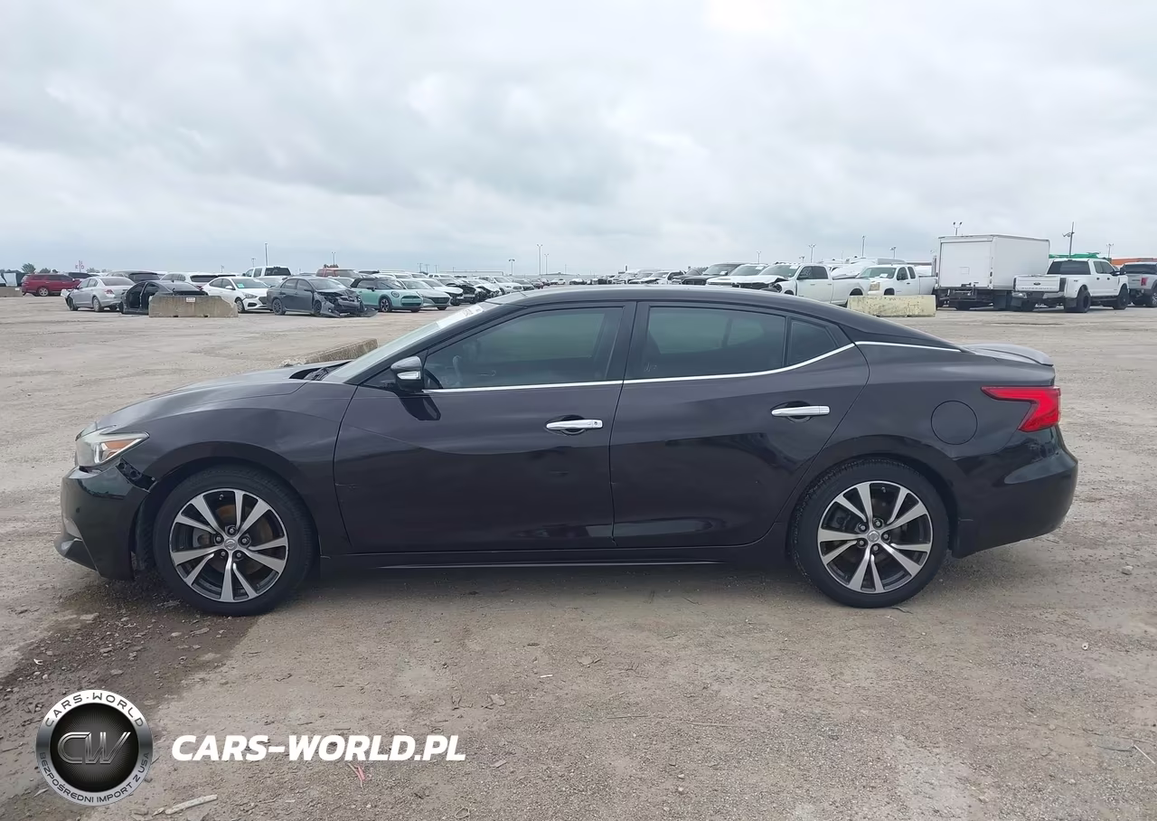 2016 Nissan Maxima 3.5 Platinum VIN:1N4AA6AP7GC394675 - 14
