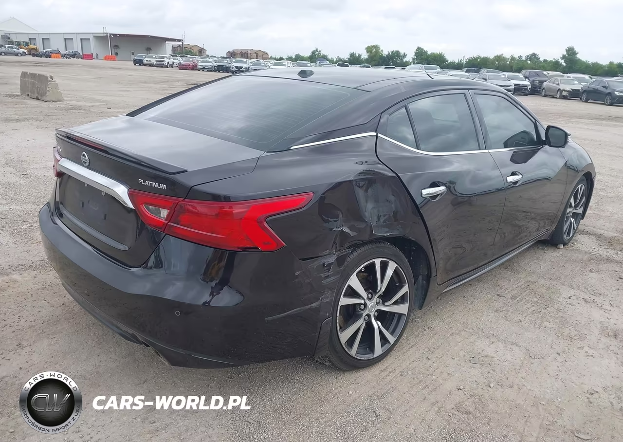 2016 Nissan Maxima 3.5 Platinum VIN:1N4AA6AP7GC394675 - 4