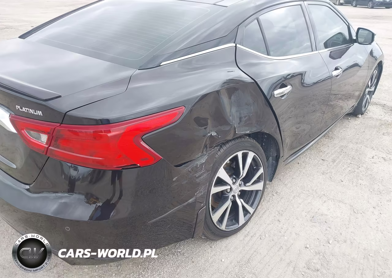 2016 Nissan Maxima 3.5 Platinum VIN:1N4AA6AP7GC394675 - 6