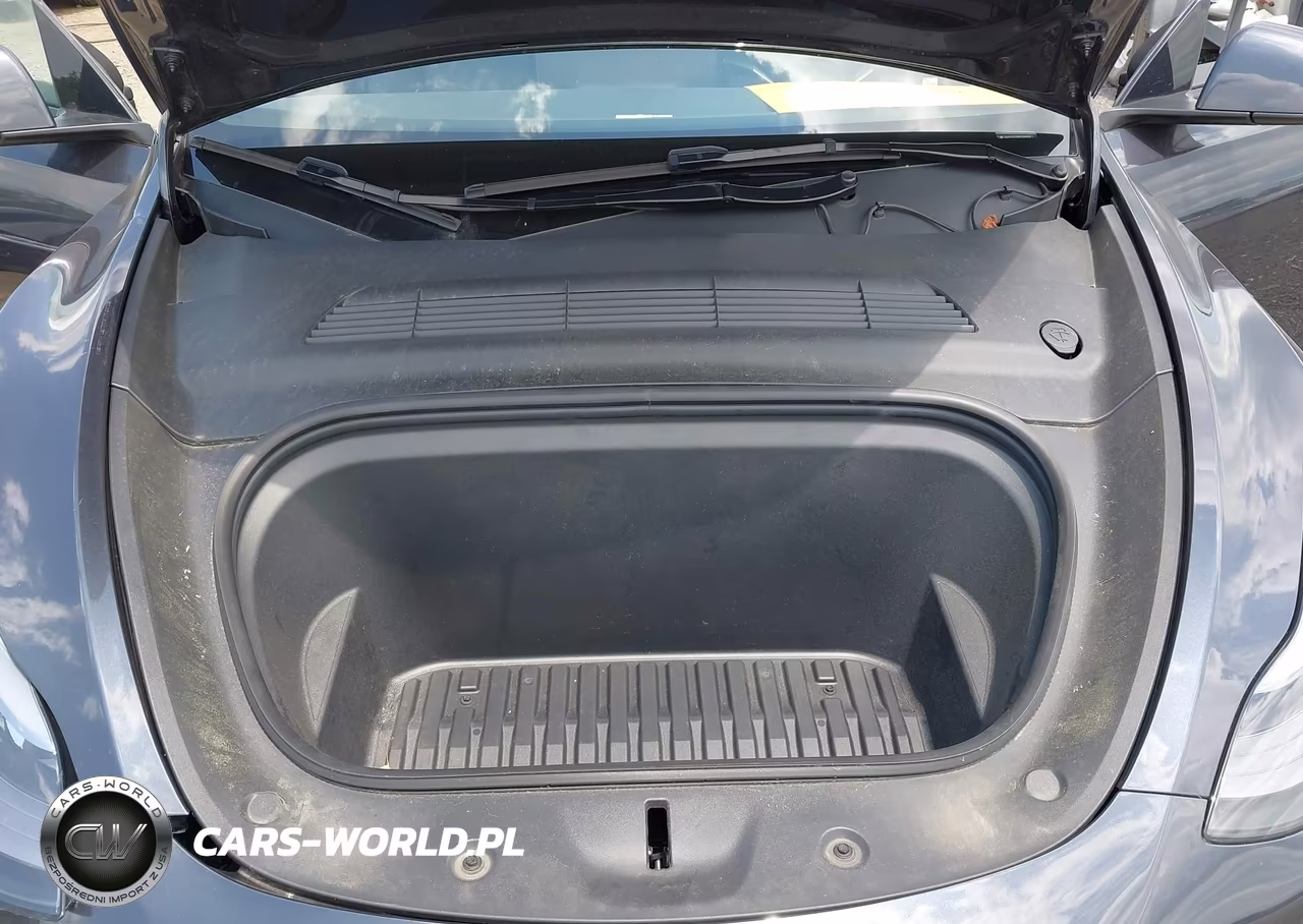 2024 Tesla Model Y Long Range Single Motor Rear-Wheel Drive-Rwd VIN:7SAYGDED6RF096669 - 10