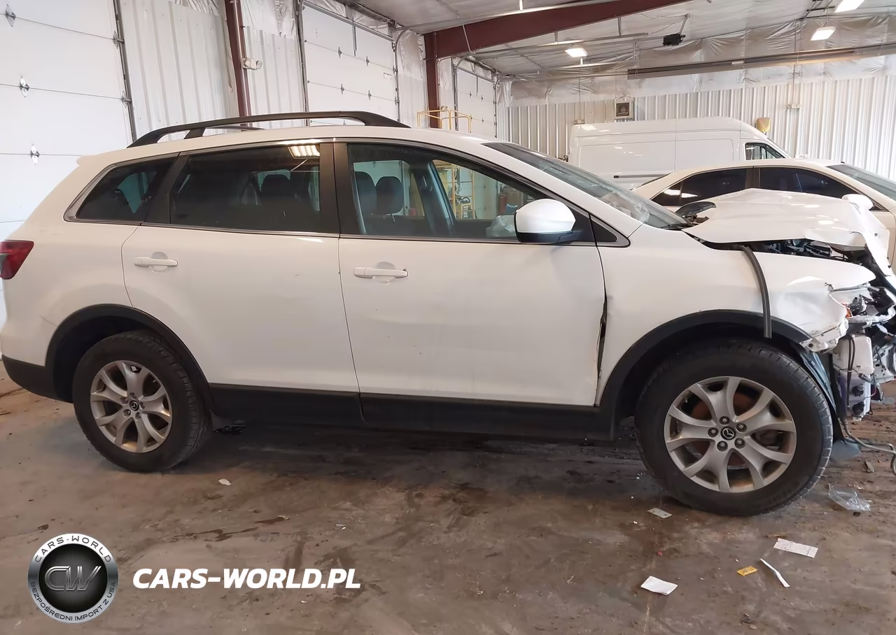 2015 Mazda Cx-9 Touring VIN:JM3TB3CAXF0454222 - 13