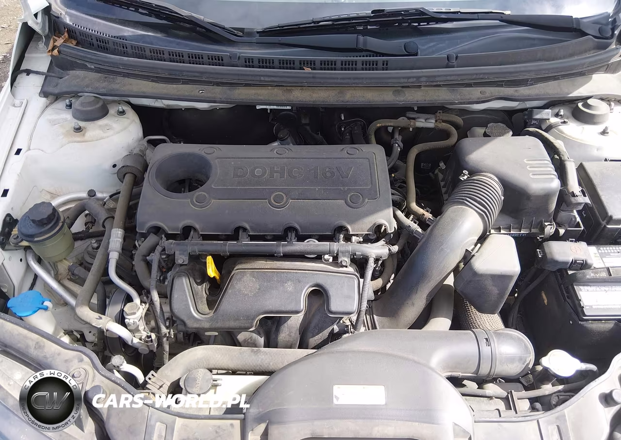 2012 Kia Forte Lx VIN:KNAFT4A2XC5553655 - 10