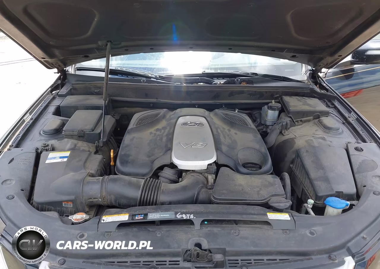 2011 Hyundai Genesis 4.6 VIN:KMHGC4DF2BU140926 - 10