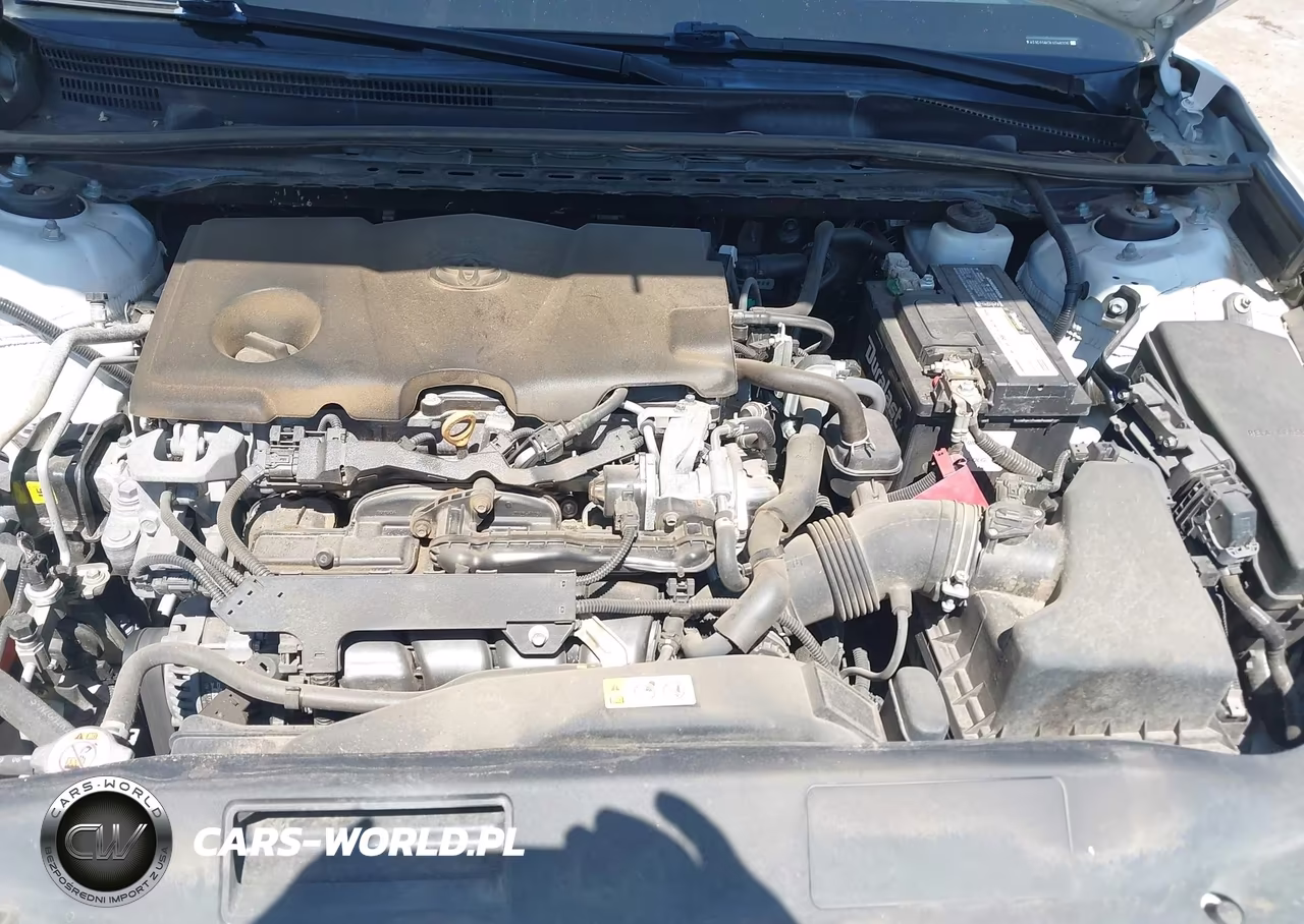 2020 Toyota Camry Le VIN:4T1C11AK3LU346326 - 10