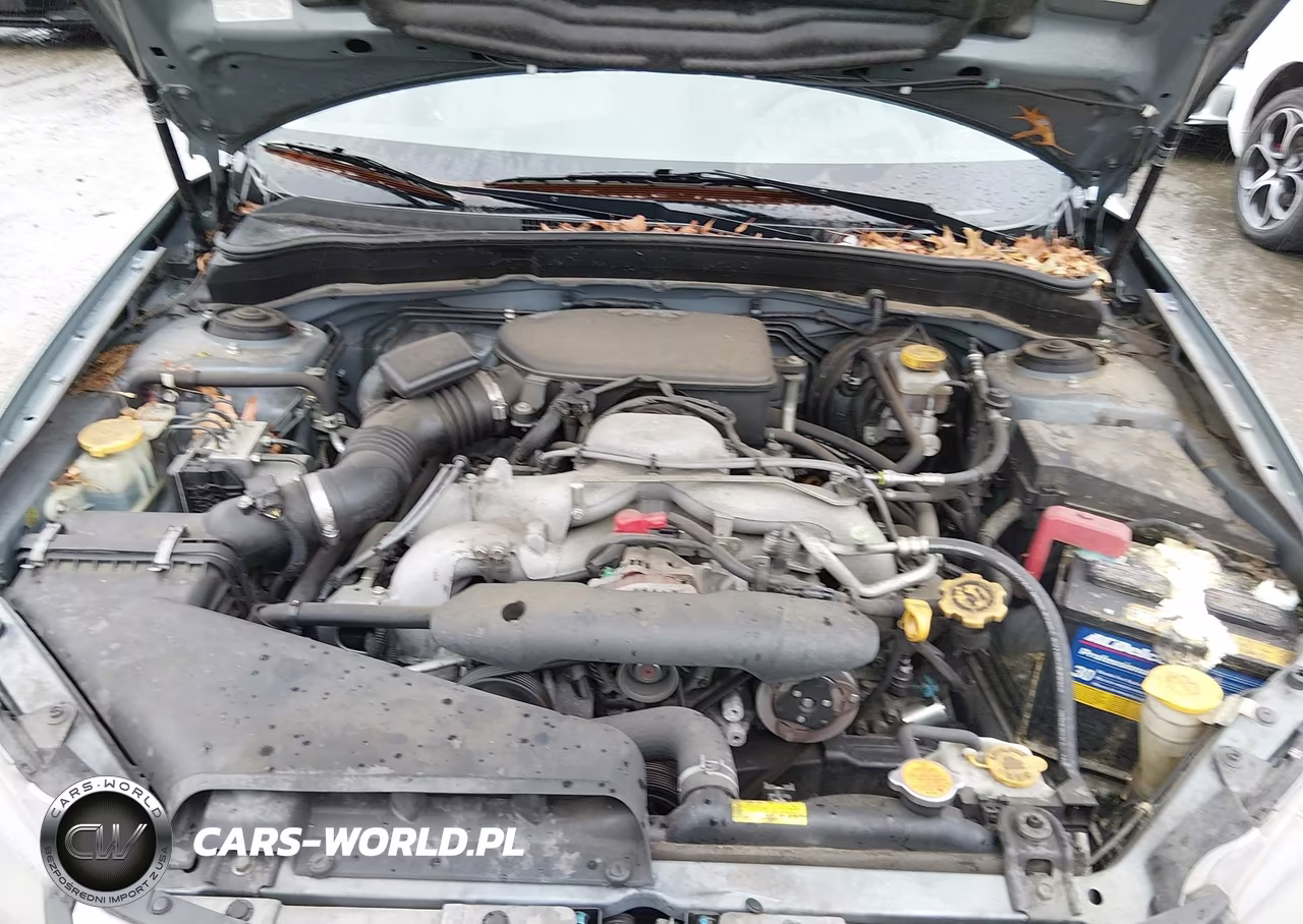 2010 Subaru Impreza Outback Sport VIN:JF1GH6D61AH821691 - 10