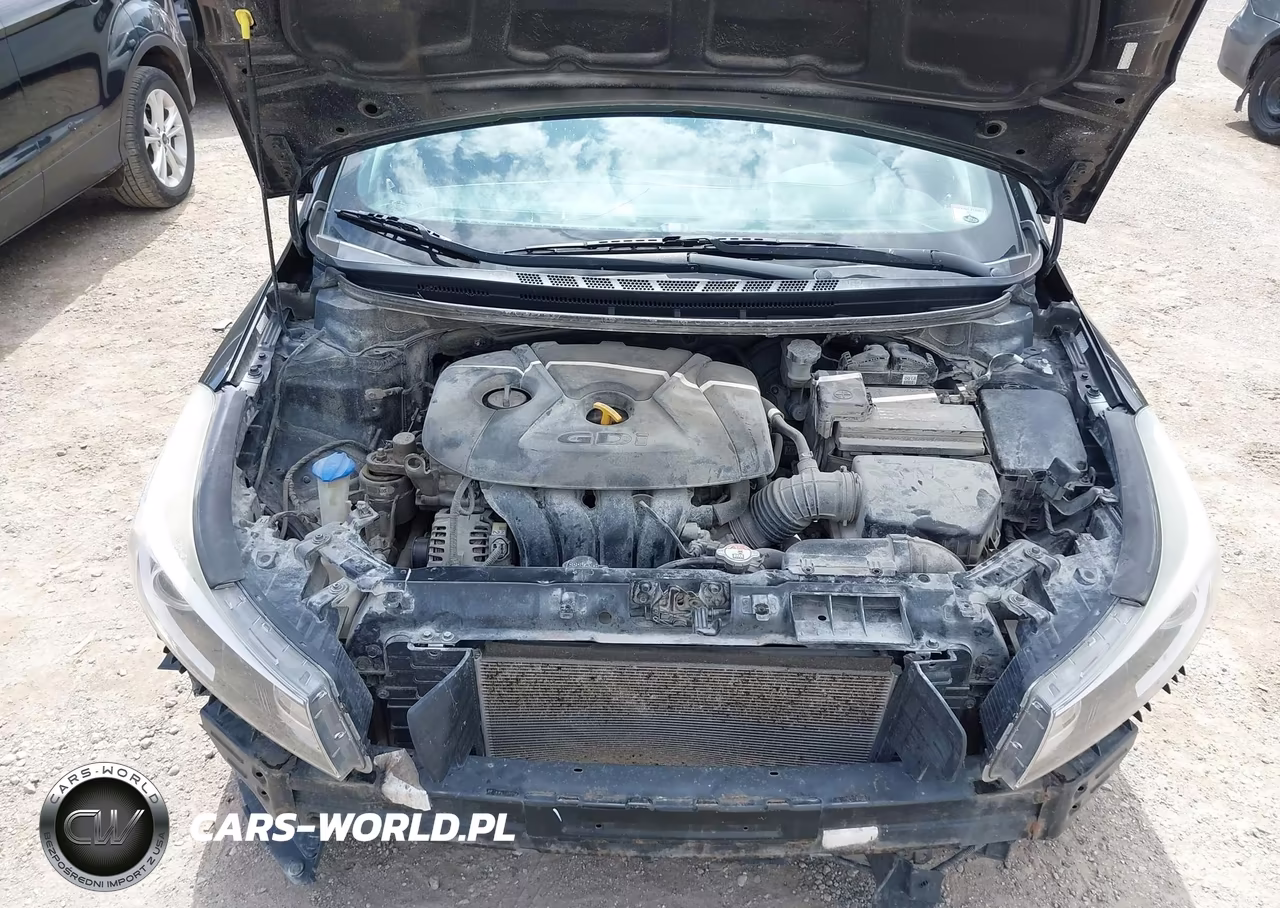 2017 Kia Forte Lx VIN:KNAFK5A8XH5690504 - 10
