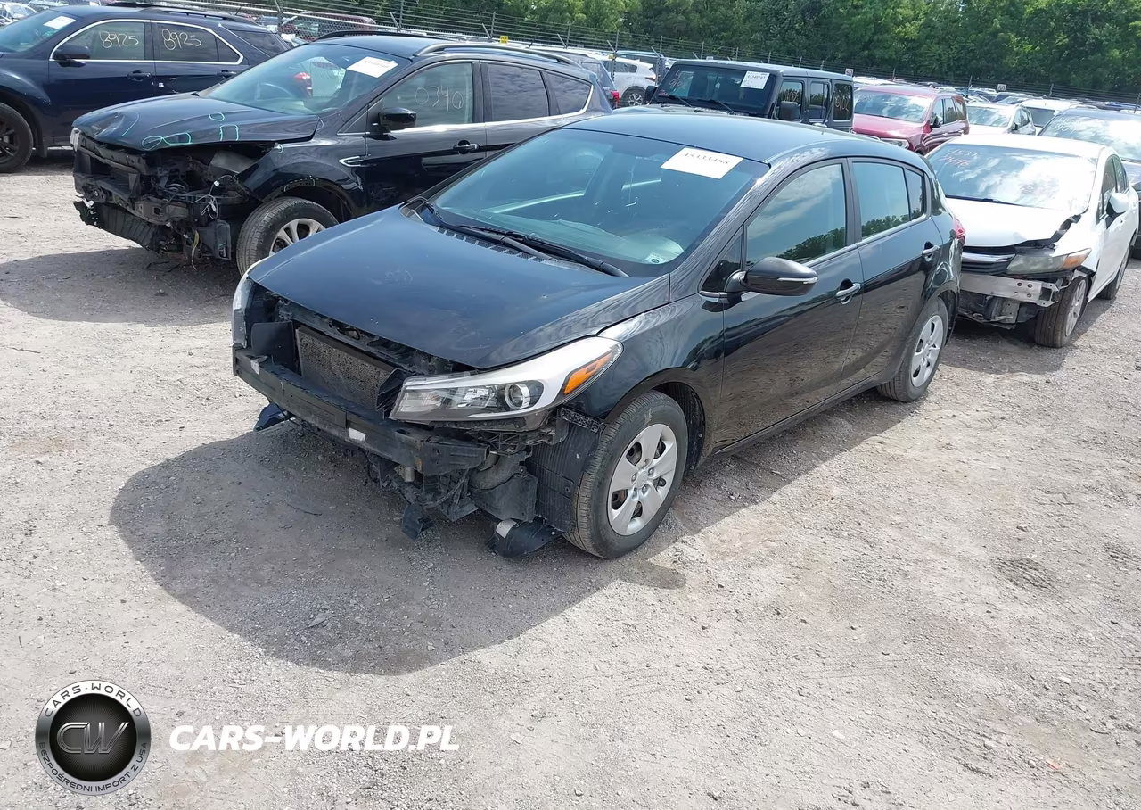 2017 Kia Forte Lx VIN:KNAFK5A8XH5690504 - 2