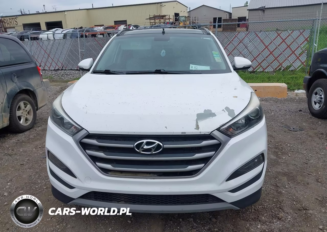 2018 Hyundai Tucson Value VIN:KM8J3CA25JU629353 - 12
