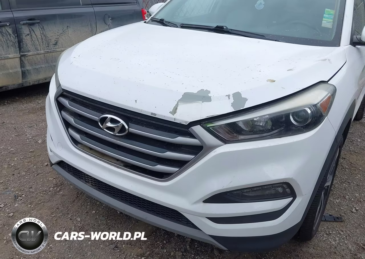 2018 Hyundai Tucson Value VIN:KM8J3CA25JU629353 - 6