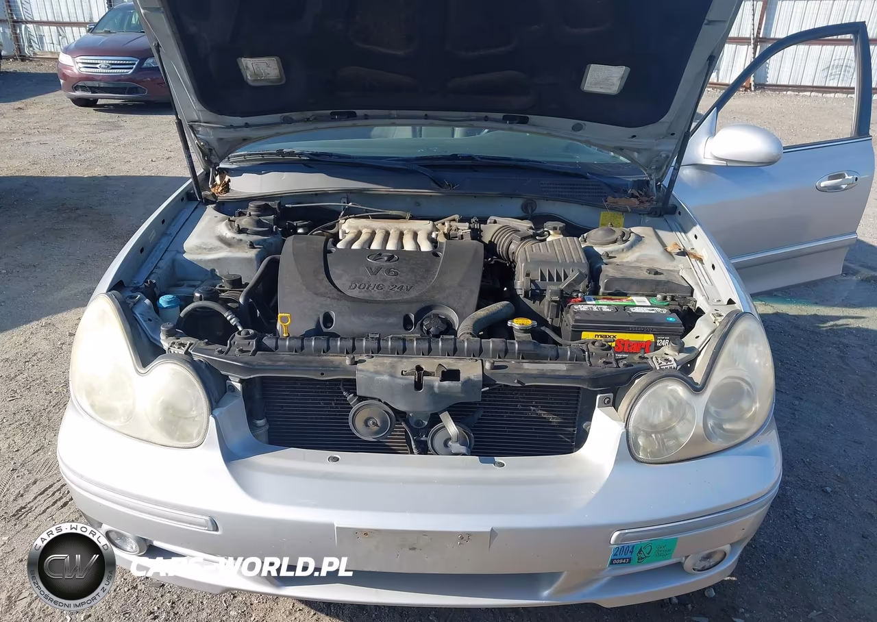 2004 Hyundai Sonata Gls-Lx VIN:KMHWF35H44A934764 - 10