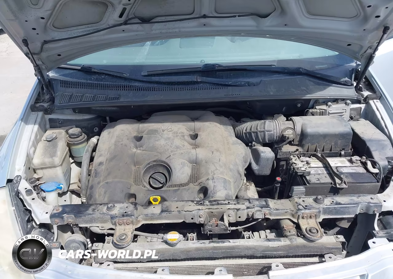 2009 Kia Sedona Lx VIN:KNDMB233896300263 - 10