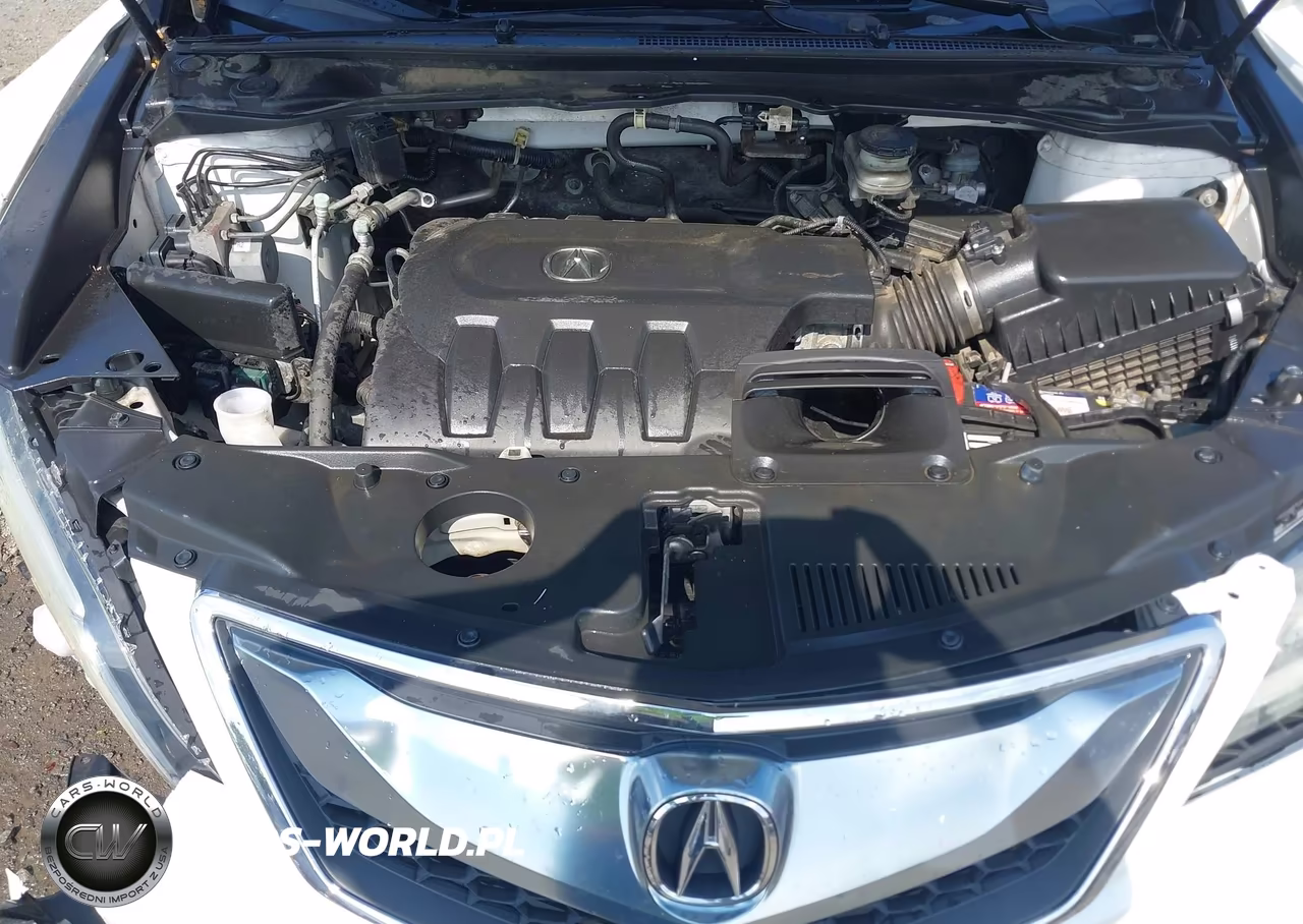 2016 Acura Rdx Acurawatch Plus Package VIN:5J8TB4H31GL018904 - 10