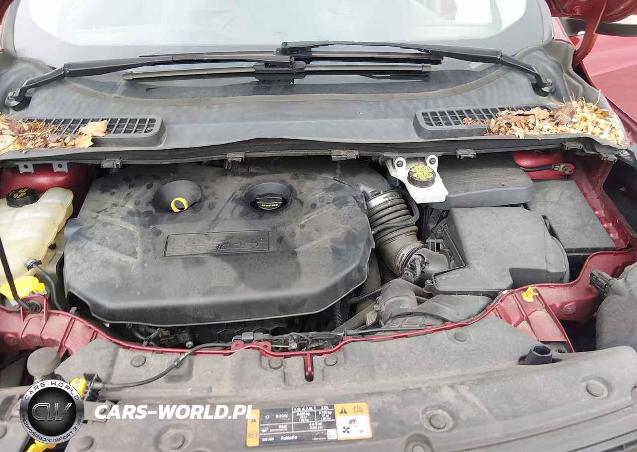 2015 Ford Escape Titanium VIN:1FMCU9J91FUC00353 - 10