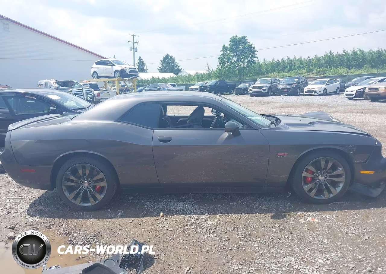 2014 Dodge Challenger Srt8 VIN:2C3CDYCJ2EH116697 - 13