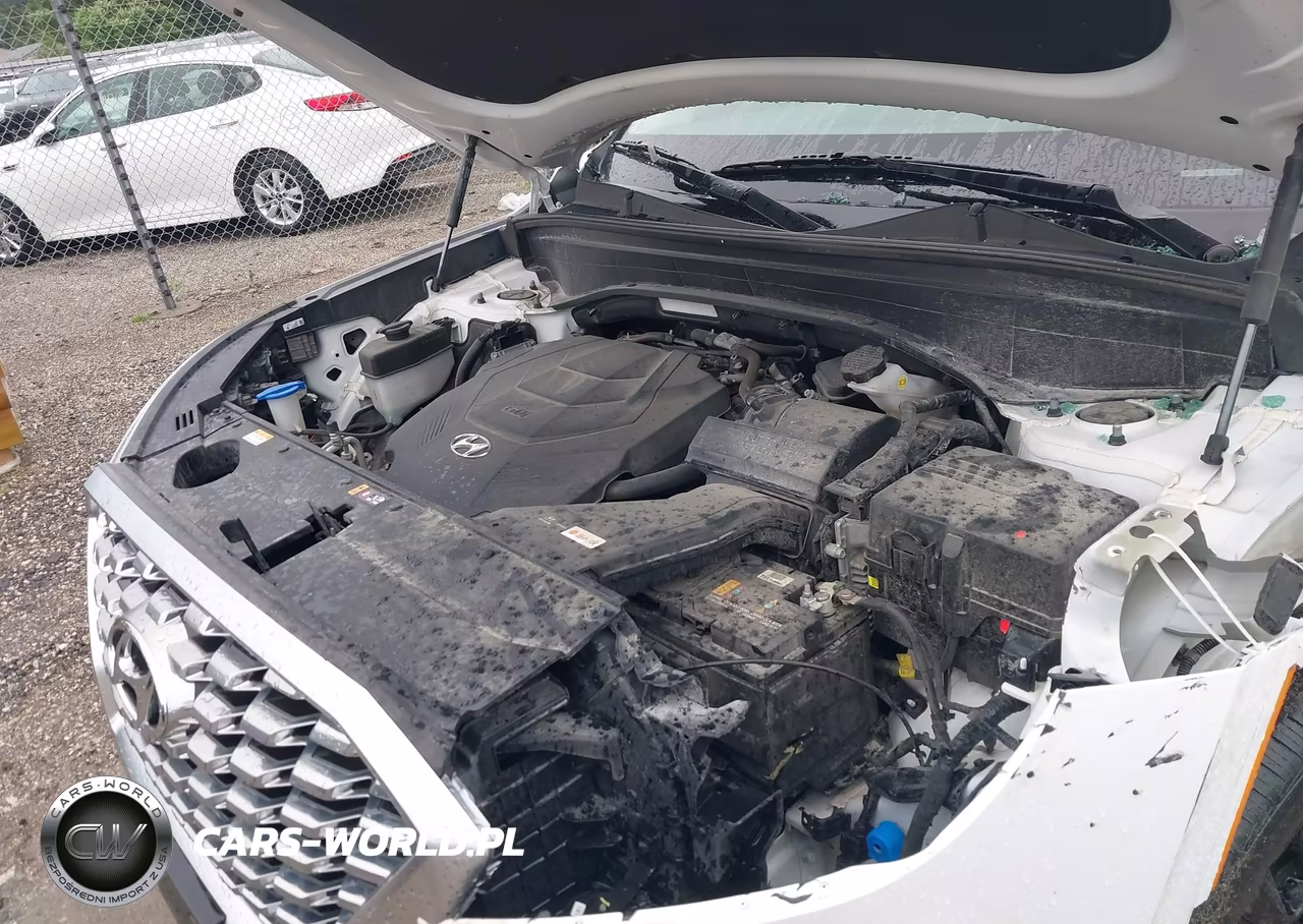 2021 Hyundai Palisade Limited VIN:KM8R5DHEXMU174779 - 10