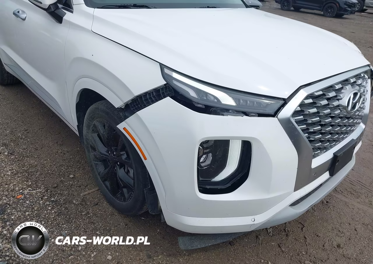 2021 Hyundai Palisade Limited VIN:KM8R5DHEXMU174779 - 19