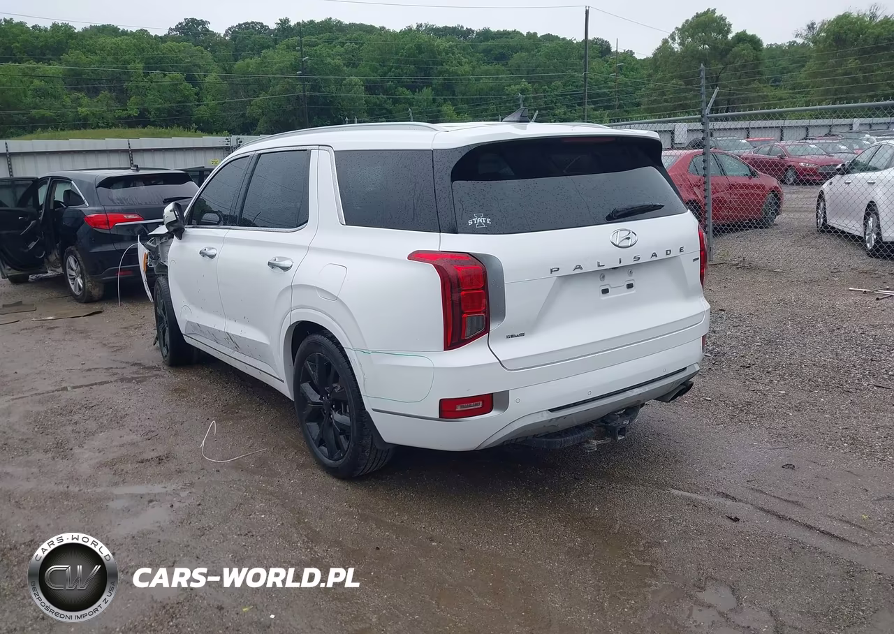 2021 Hyundai Palisade Limited VIN:KM8R5DHEXMU174779 - 3