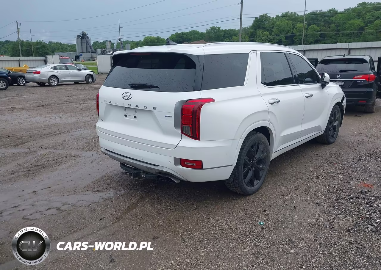 2021 Hyundai Palisade Limited VIN:KM8R5DHEXMU174779 - 4