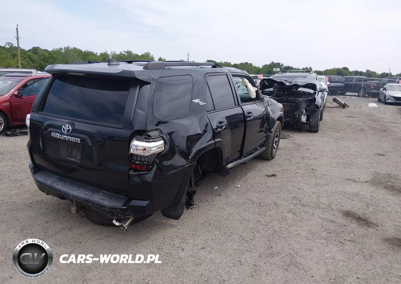 2019 Toyota 4Runner Trd Off Road Premium VIN:JTEBU5JR5K5719110 - 4