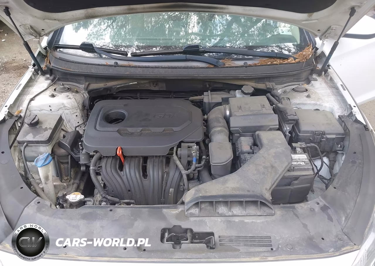 2019 Hyundai Sonata Se VIN:5NPE24AFXKH817962 - 10