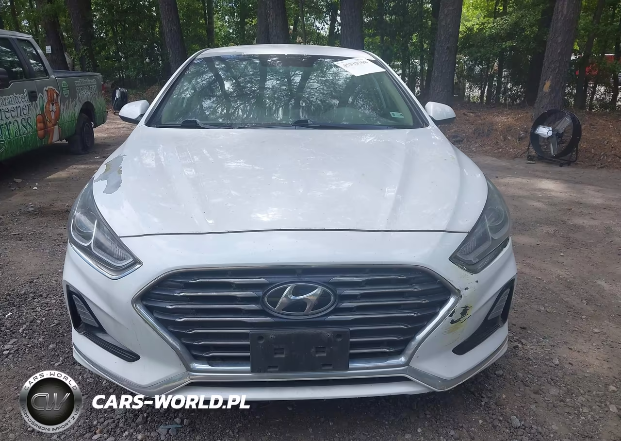 2019 Hyundai Sonata Se VIN:5NPE24AFXKH817962 - 12