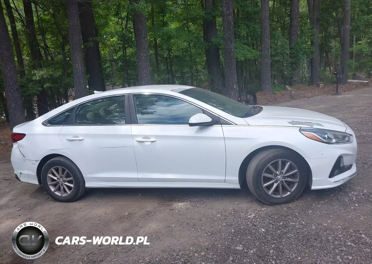 2019 Hyundai Sonata Se VIN:5NPE24AFXKH817962 - 13