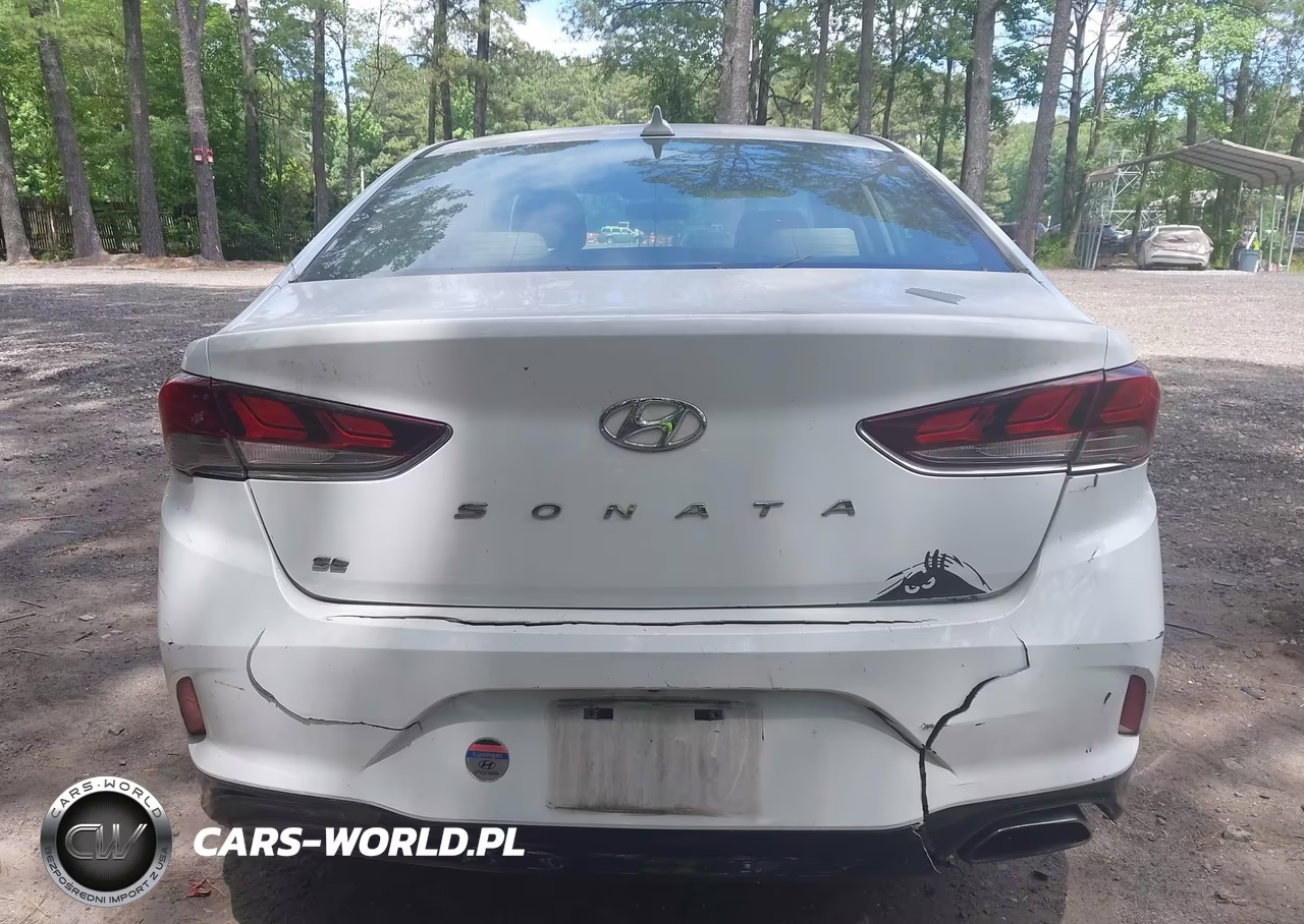 2019 Hyundai Sonata Se VIN:5NPE24AFXKH817962 - 16