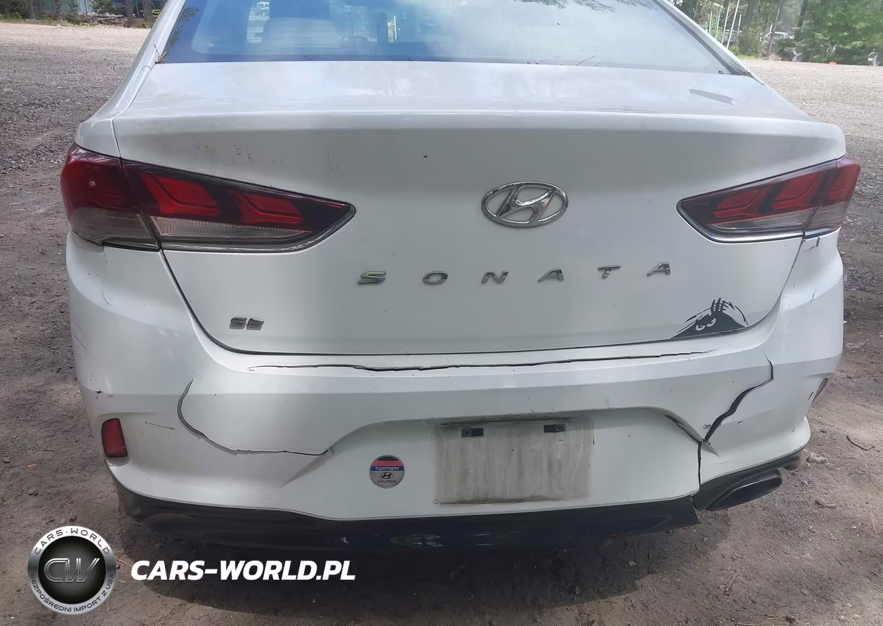 2019 Hyundai Sonata Se VIN:5NPE24AFXKH817962 - 17