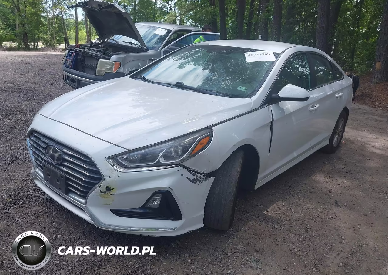 2019 Hyundai Sonata Se VIN:5NPE24AFXKH817962 - 2