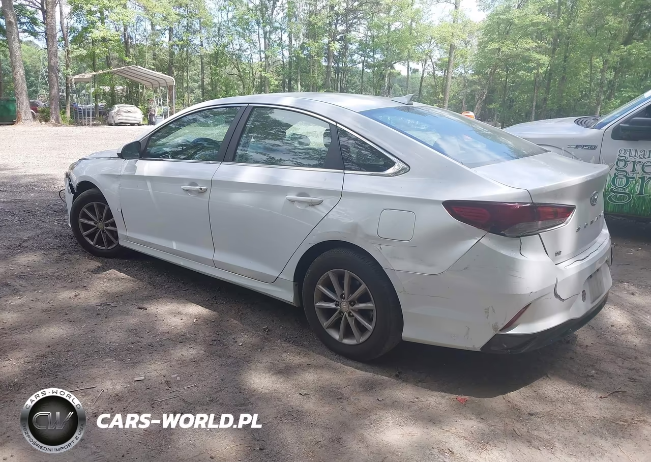 2019 Hyundai Sonata Se VIN:5NPE24AFXKH817962 - 3