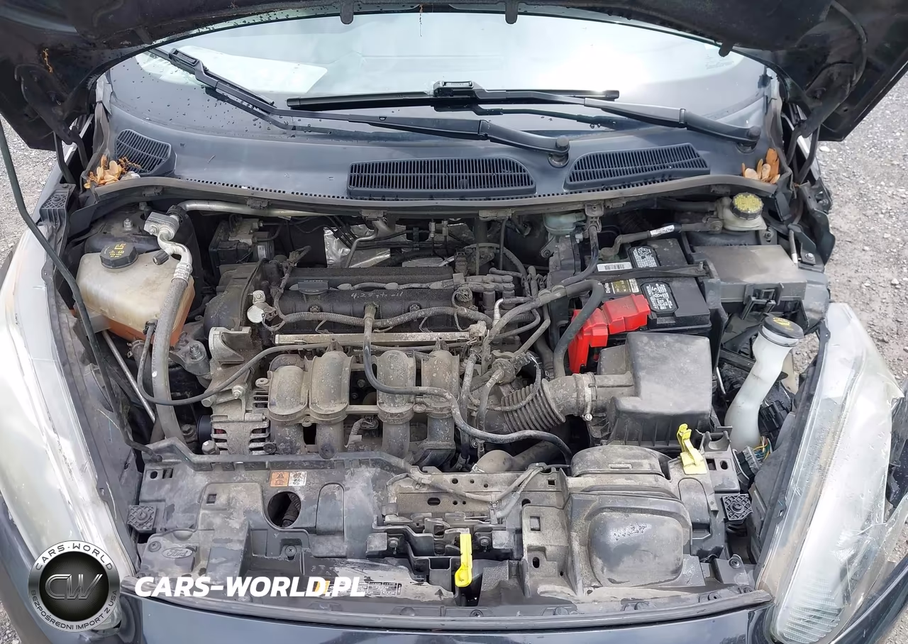 2015 Ford Fiesta Se VIN:3FADP4BJ0FM219756 - 10