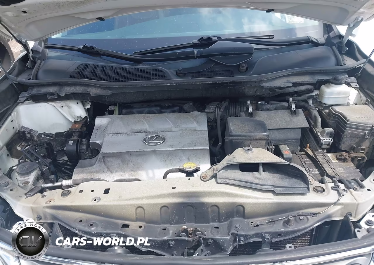 2013 Lexus Rx 350 VIN:2T2BK1BA9DC154955 - 10