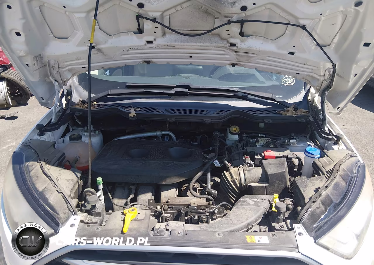 2018 Ford Ecosport Se VIN:MAJ6P1UL5JC187578 - 10