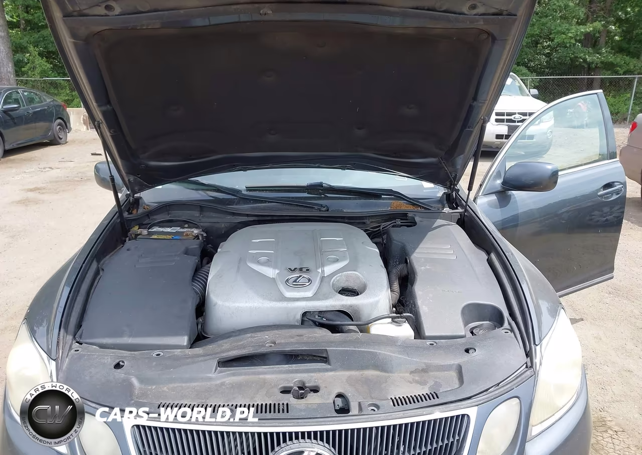 2006 Lexus Gs 300 VIN:JTHBH96S765031156 - 10