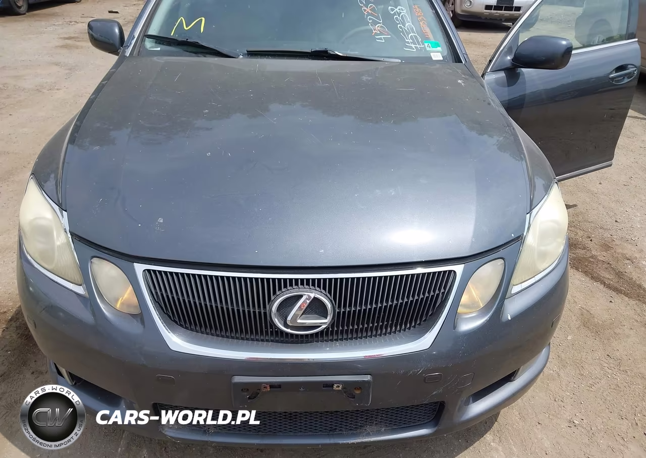 2006 Lexus Gs 300 VIN:JTHBH96S765031156 - 6