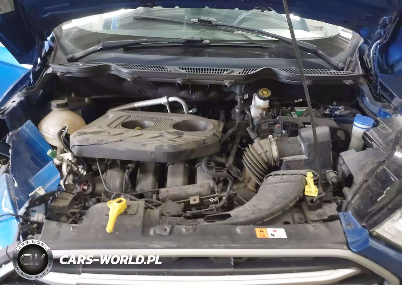 2019 Ford Ecosport Se VIN:MAJ6S3GLXKC304059 - 10