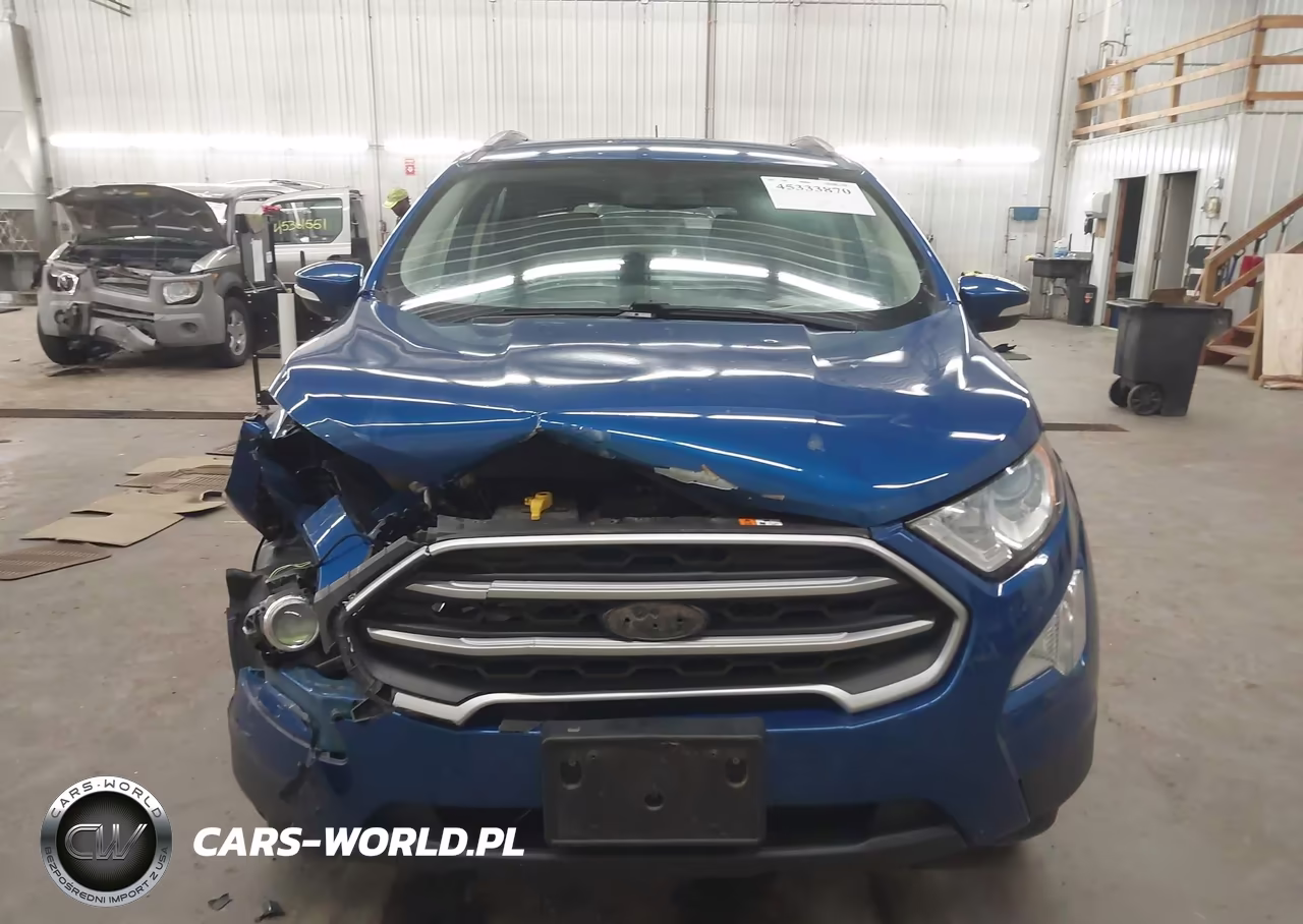 2019 Ford Ecosport Se VIN:MAJ6S3GLXKC304059 - 12