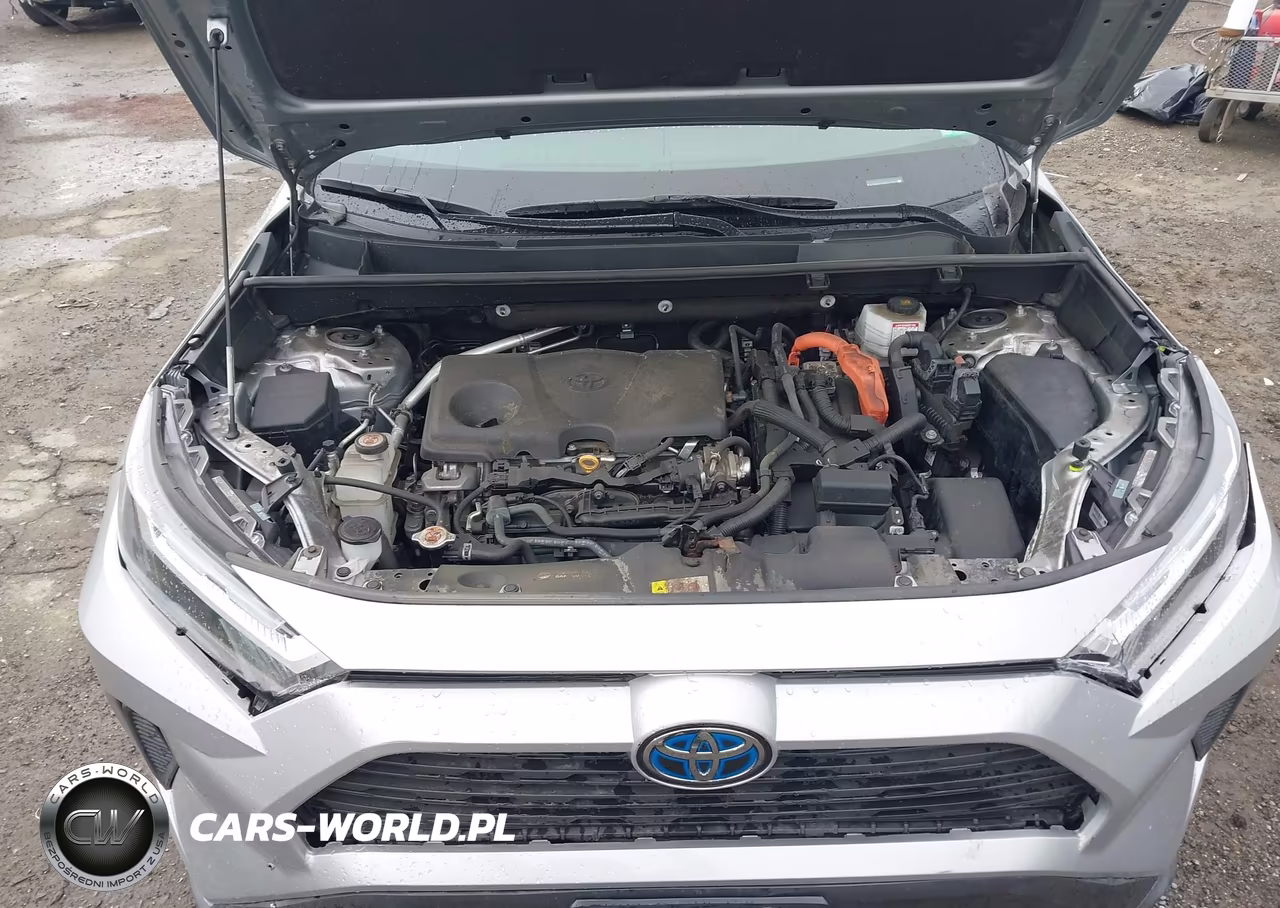 2024 Toyota Rav4 Hybrid Xle VIN:2T3RWRFV5RW229814 - 10