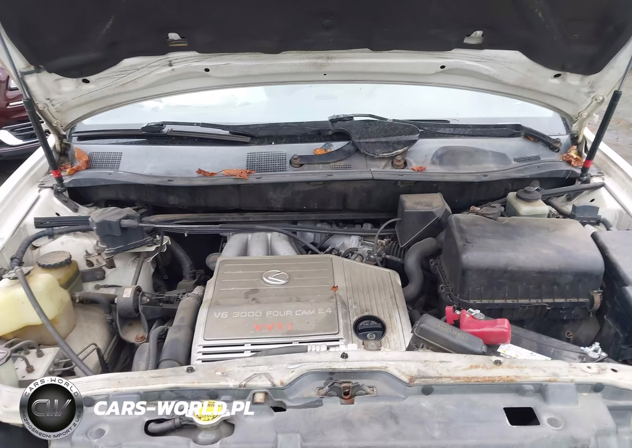 1999 Lexus Rx 300 VIN:JT6GF10U0X0037945 - 10