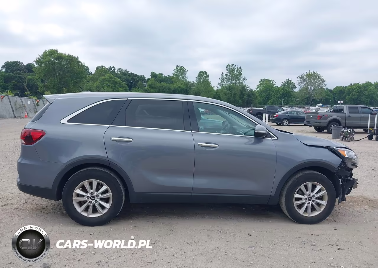 2020 Kia Sorento 2.4L Lx VIN:5XYPG4A38LG631314 - 14