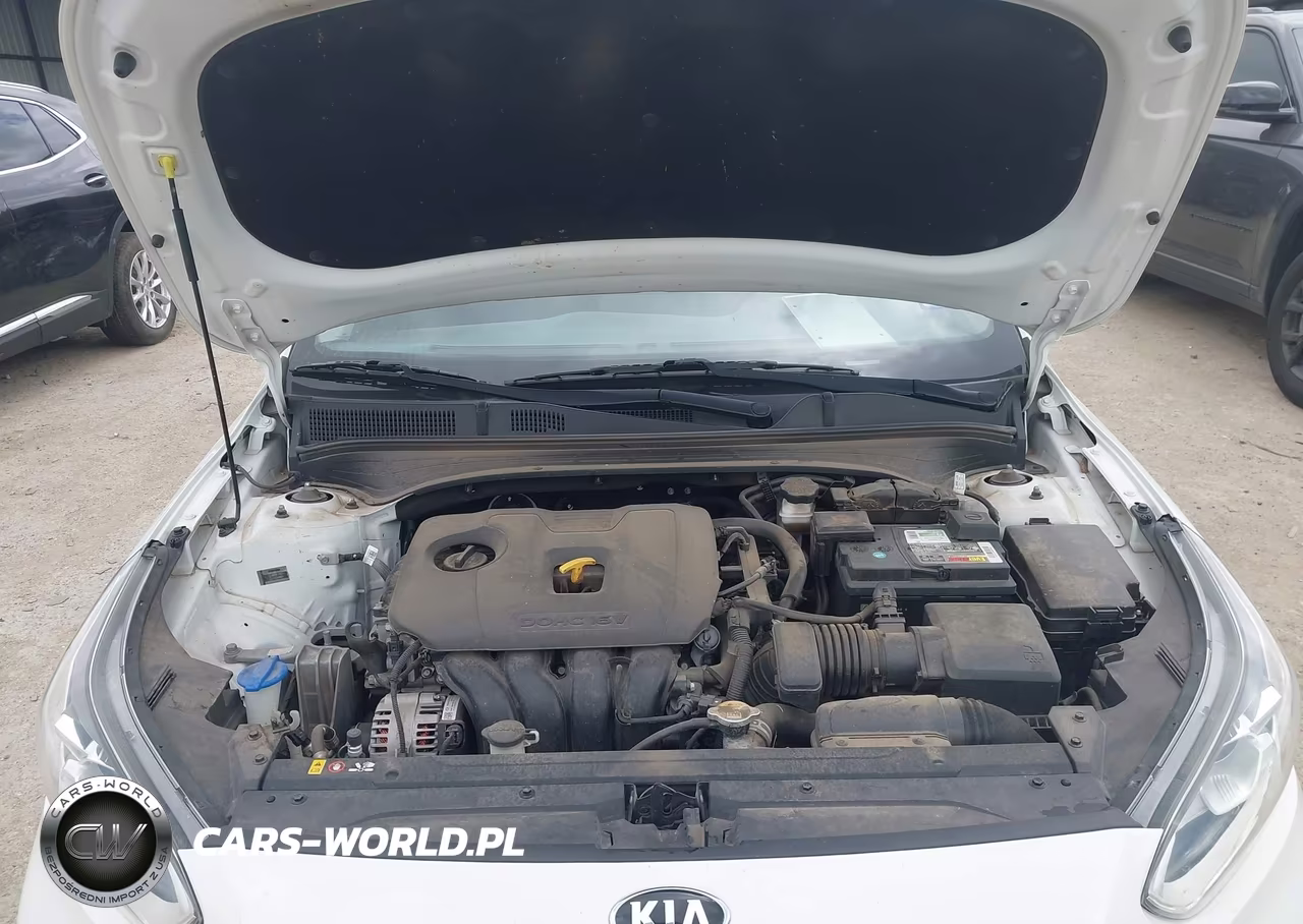 2019 Kia Forte S VIN:3KPF34AD3KE013569 - 10